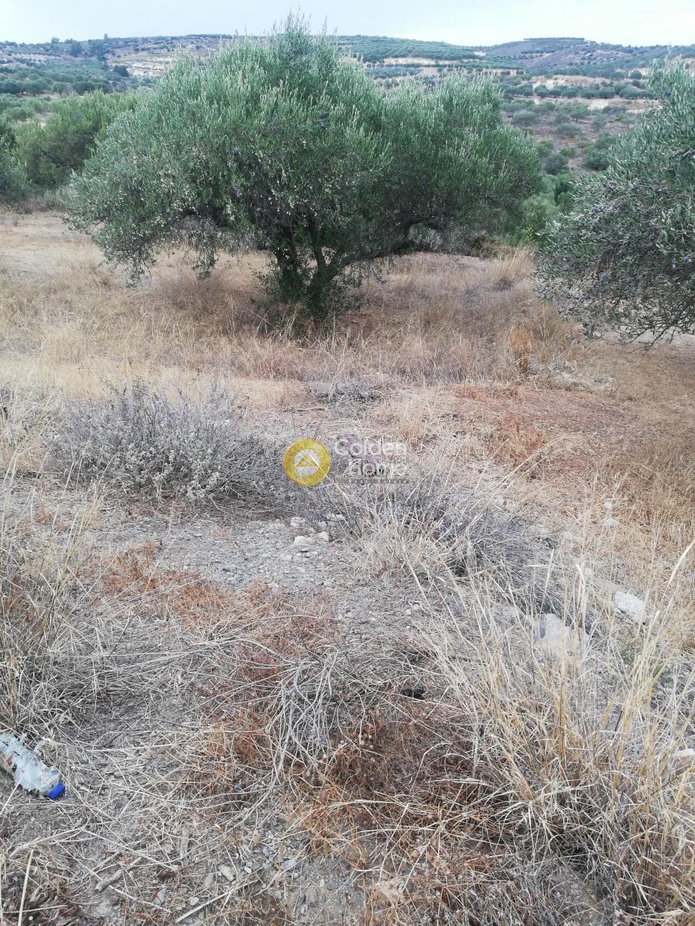Οικόπεδο στην Σκοτεινό, Γούβες — Φωτογραφία 5 από 20