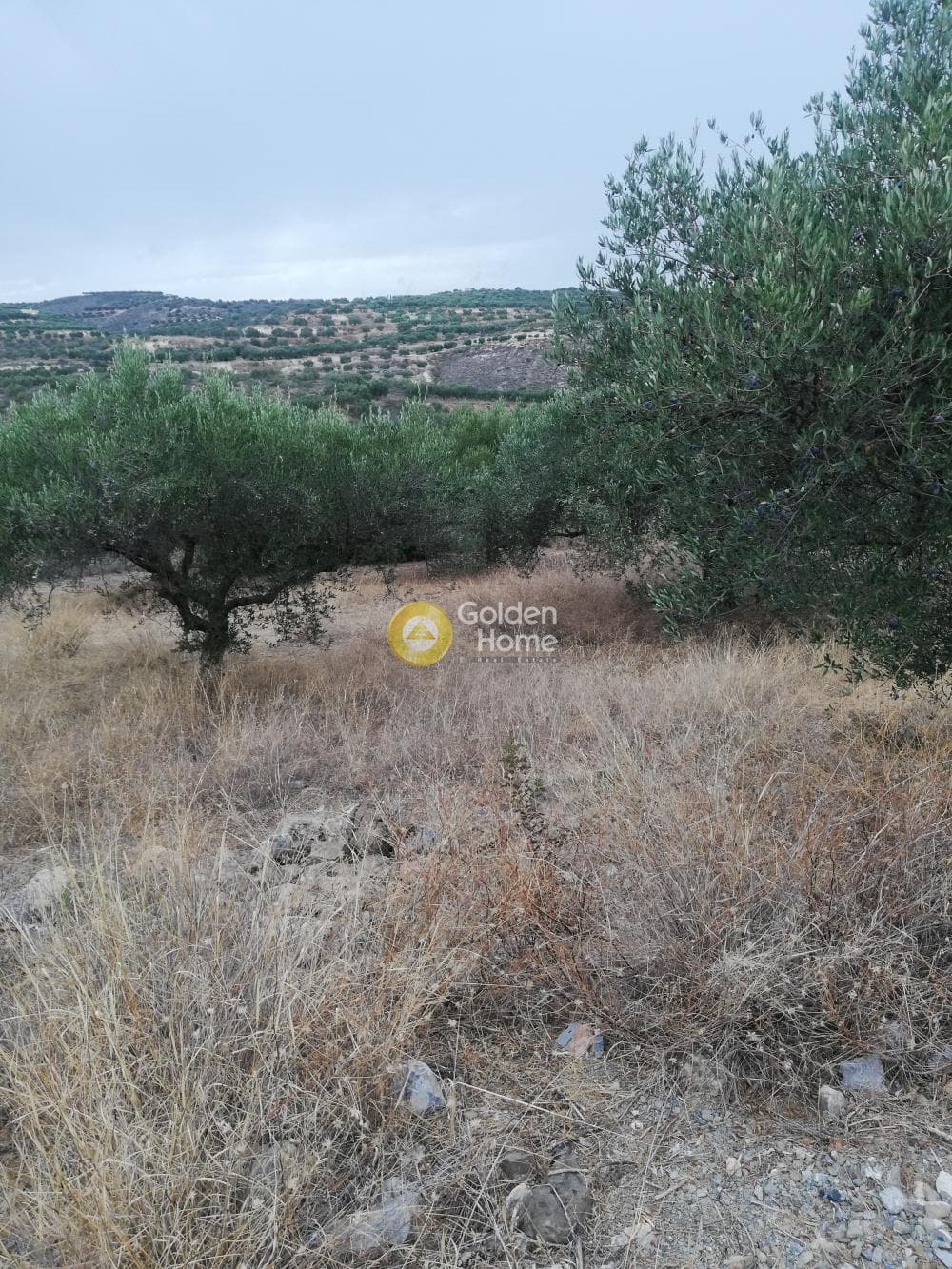 Οικόπεδο στην Σκοτεινό, Γούβες — Φωτογραφία 6 από 20