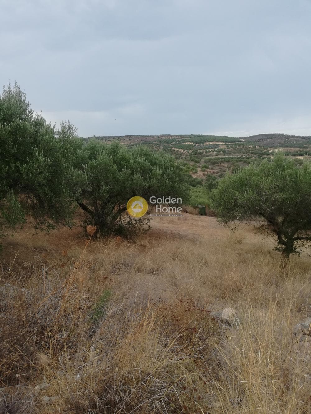 Οικόπεδο στην Σκοτεινό, Γούβες — Φωτογραφία 7 από 20