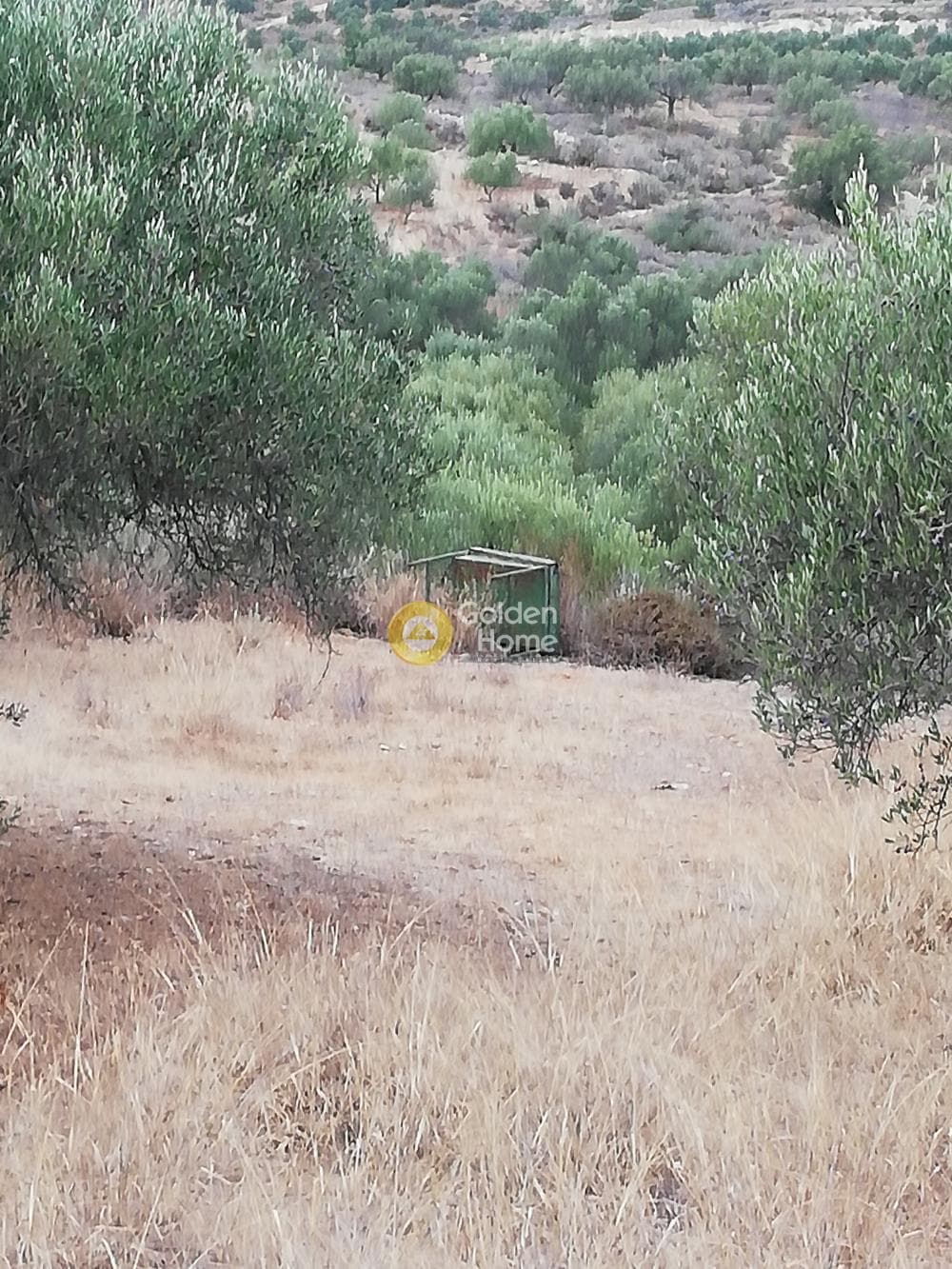 Οικόπεδο στην Σκοτεινό, Γούβες — Φωτογραφία 8 από 20