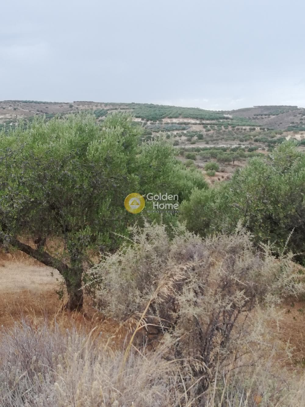 Οικόπεδο στην Σκοτεινό, Γούβες — Φωτογραφία 10 από 20