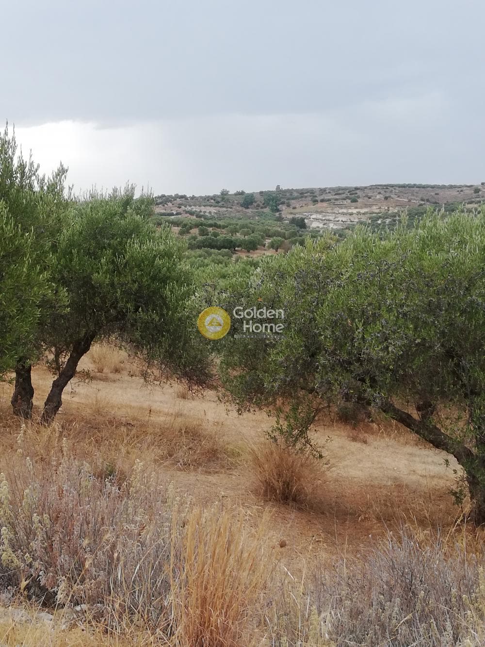 Οικόπεδο στην Σκοτεινό, Γούβες — Φωτογραφία 9 από 20