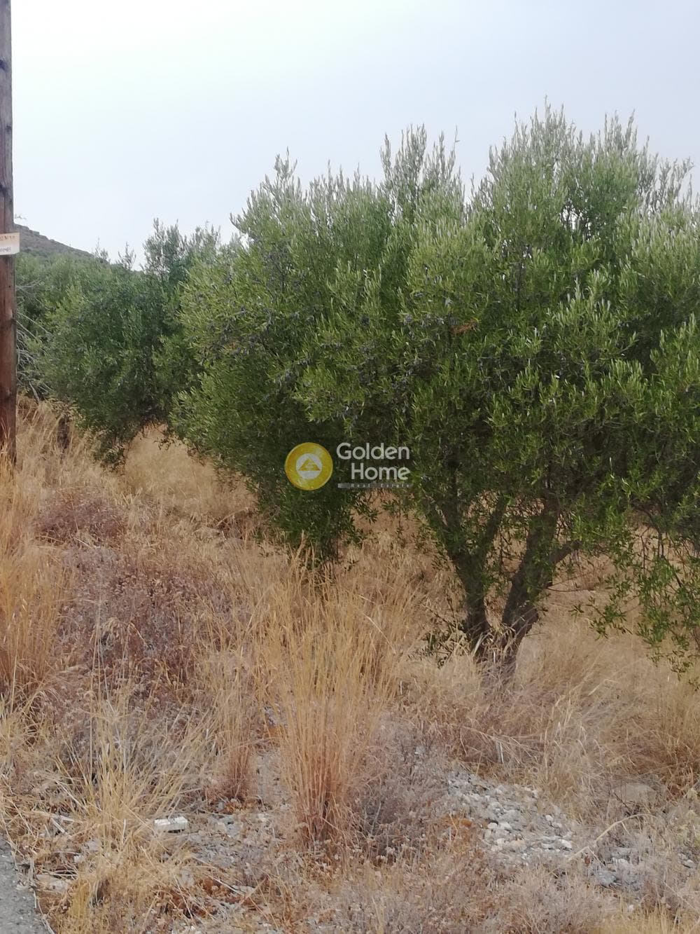 Οικόπεδο στην Σκοτεινό, Γούβες — Φωτογραφία 13 από 20