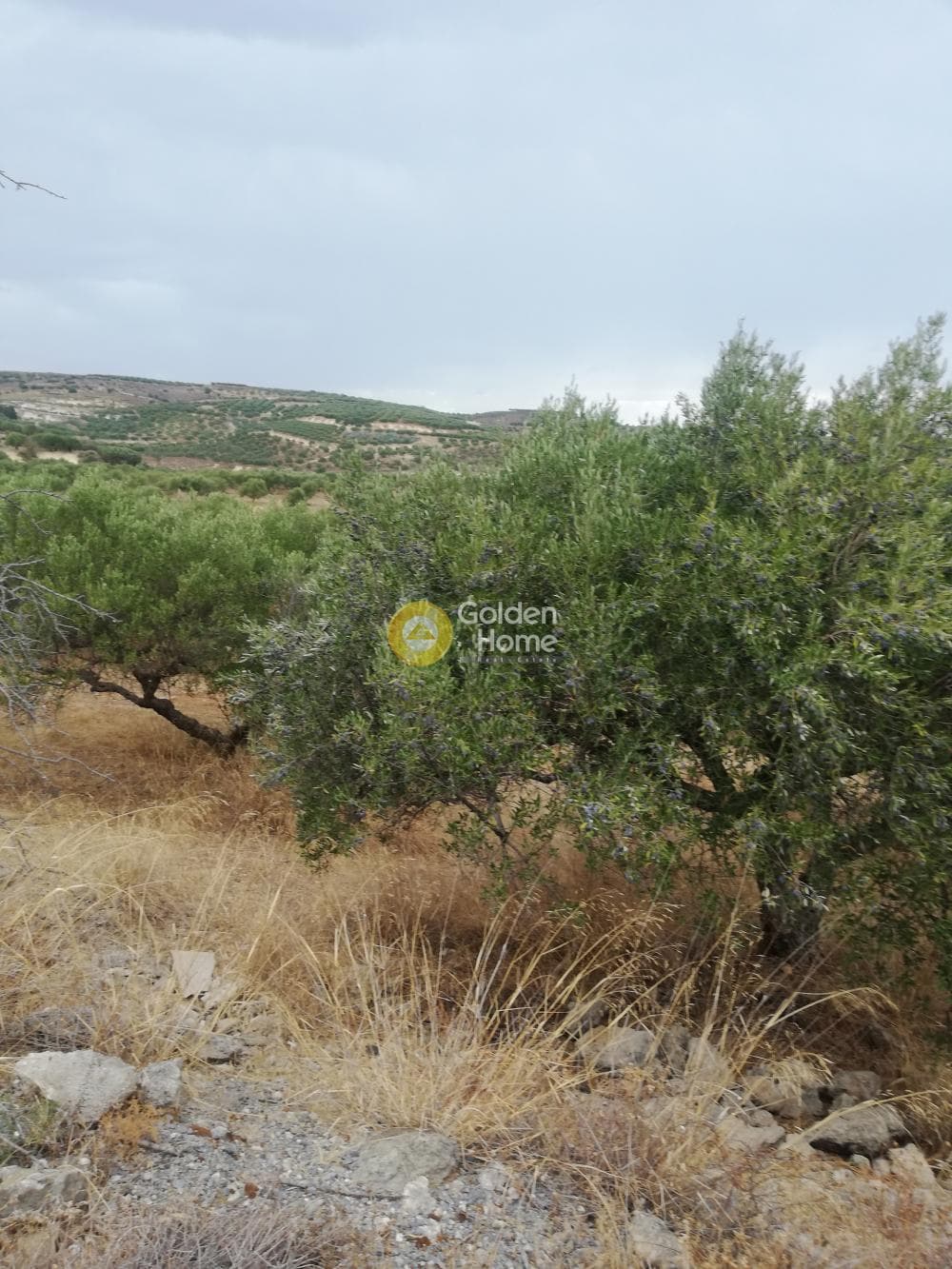 Οικόπεδο στην Σκοτεινό, Γούβες — Φωτογραφία 14 από 20