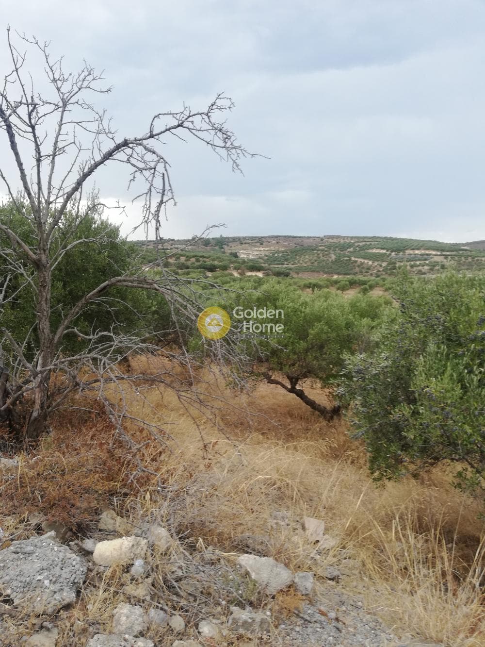 Οικόπεδο στην Σκοτεινό, Γούβες — Φωτογραφία 16 από 20