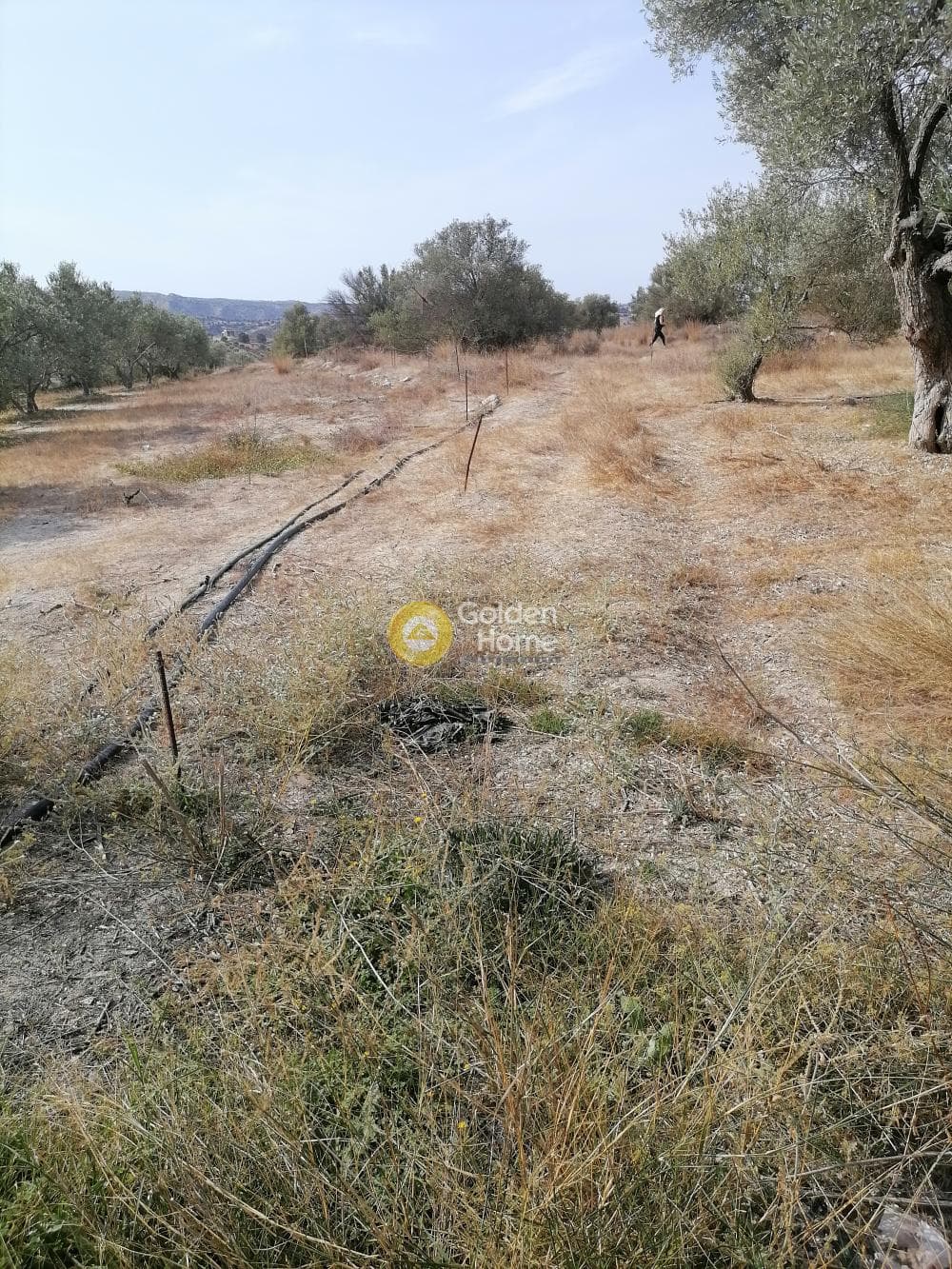 Οικόπεδο στην Καμηλάρι, Τυμπάκι — Φωτογραφία 2 από 25