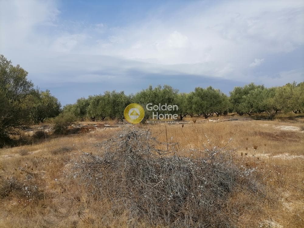 Οικόπεδο στην Καμηλάρι, Τυμπάκι — Φωτογραφία 3 από 25