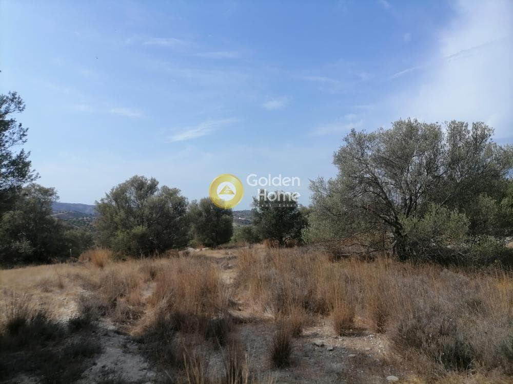 Οικόπεδο στην Καμηλάρι, Τυμπάκι — Φωτογραφία 6 από 25