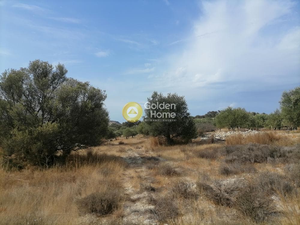 Οικόπεδο στην Καμηλάρι, Τυμπάκι — Φωτογραφία 7 από 25