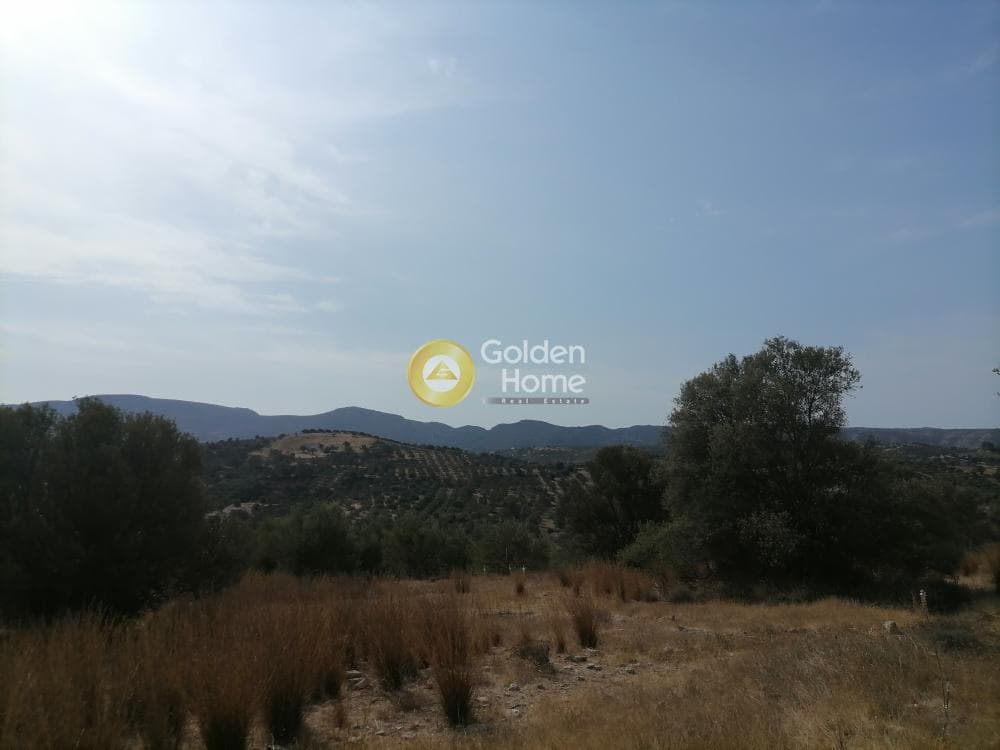 Οικόπεδο στην Καμηλάρι, Τυμπάκι — Φωτογραφία 8 από 25