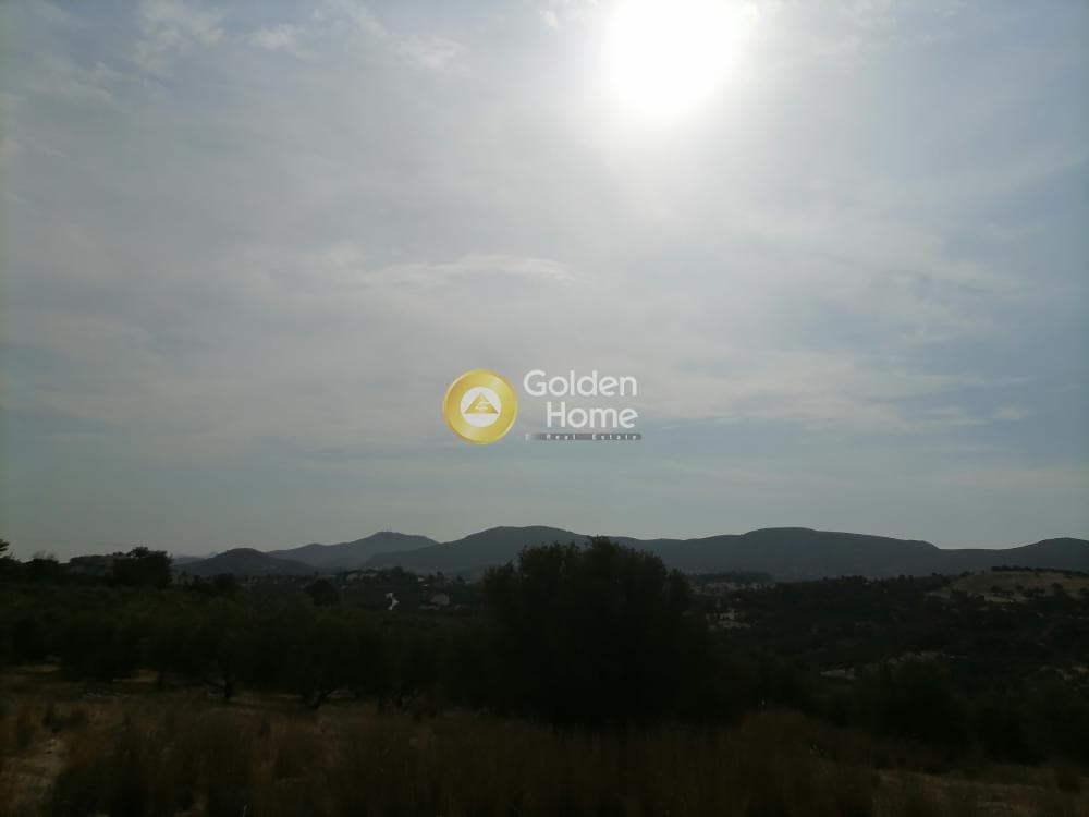 Οικόπεδο στην Καμηλάρι, Τυμπάκι — Φωτογραφία 9 από 25
