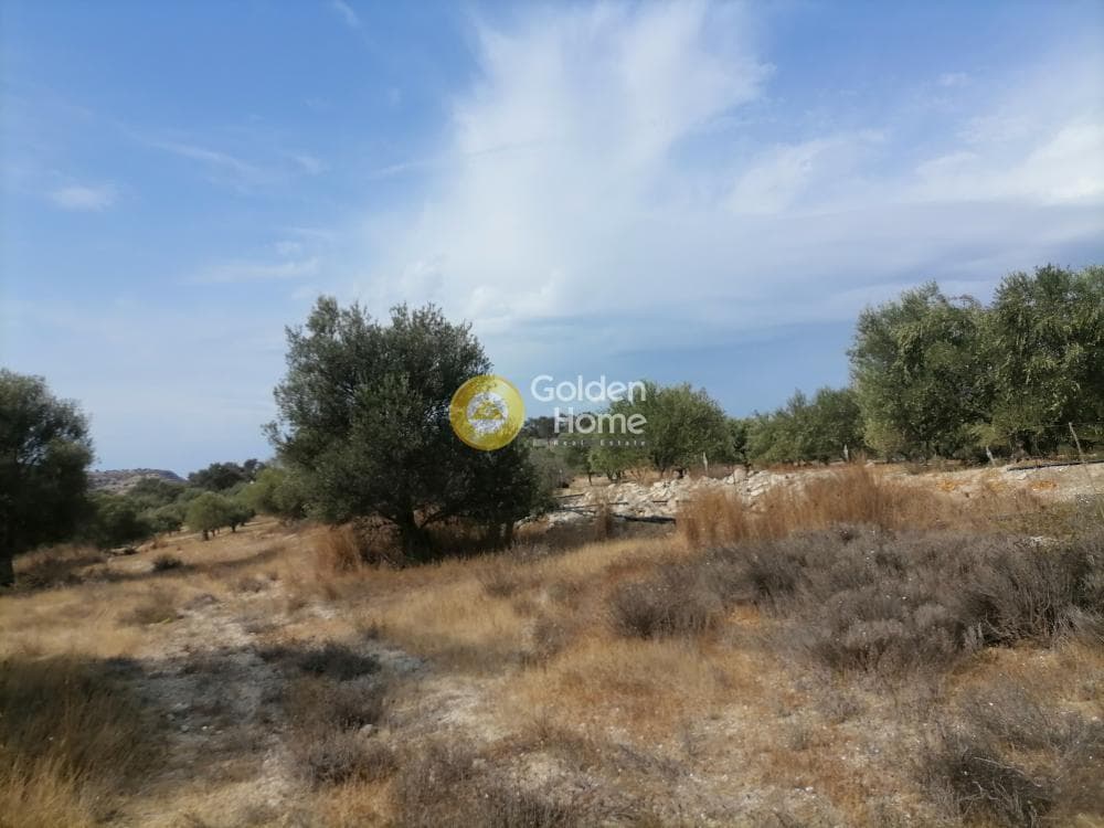 Οικόπεδο στην Καμηλάρι, Τυμπάκι — Φωτογραφία 10 από 25