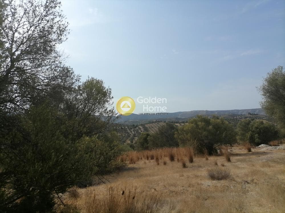 Οικόπεδο στην Καμηλάρι, Τυμπάκι — Φωτογραφία 13 από 25