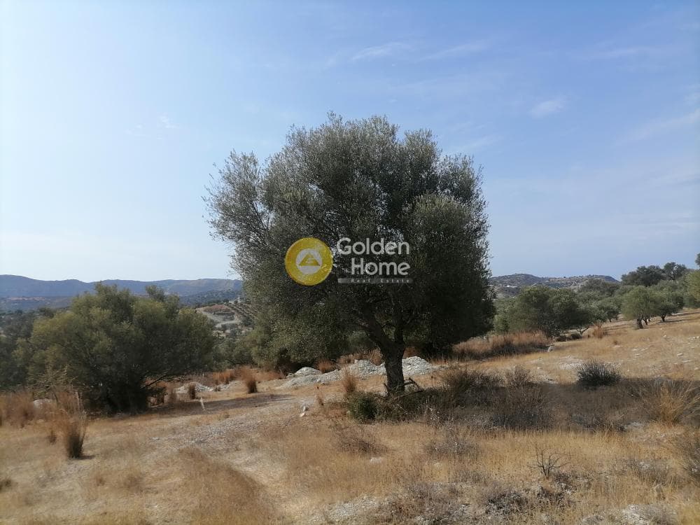 Οικόπεδο στην Καμηλάρι, Τυμπάκι — Φωτογραφία 14 από 25