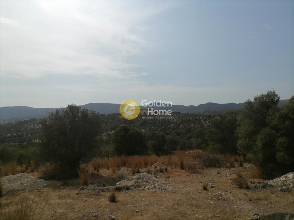 Οικόπεδο στην Καμηλάρι, Τυμπάκι — Φωτογραφία 18 από 25
