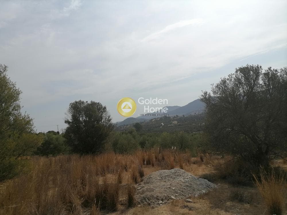 Οικόπεδο στην Καμηλάρι, Τυμπάκι — Φωτογραφία 21 από 25