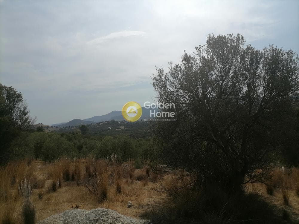 Οικόπεδο στην Καμηλάρι, Τυμπάκι — Φωτογραφία 22 από 25