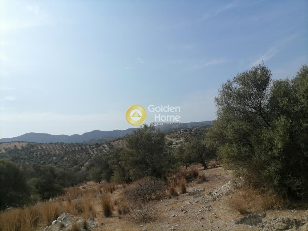 Οικόπεδο στην Καμηλάρι, Τυμπάκι — Φωτογραφία 23 από 25