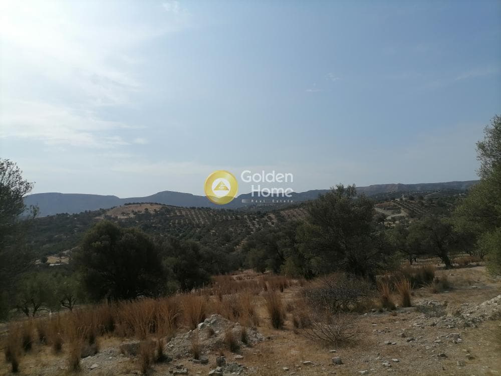 Οικόπεδο στην Καμηλάρι, Τυμπάκι — Φωτογραφία 25 από 25