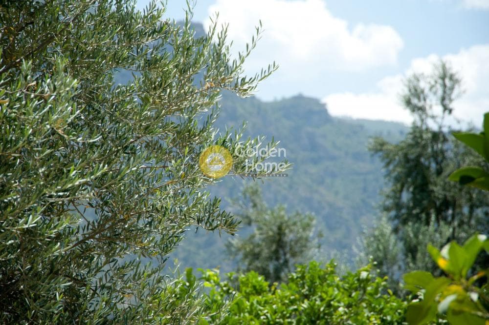 House in Center, Diakopto — Photo 10 of 17