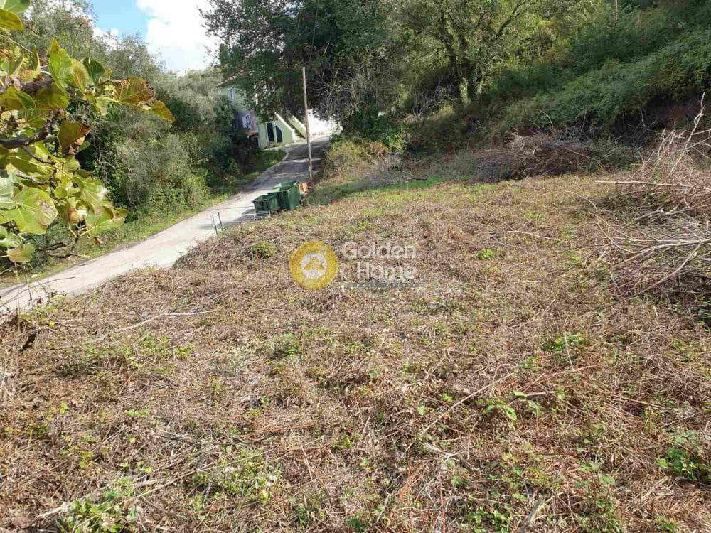Parcel in Pareli, Corfu — Photo 2 of 4