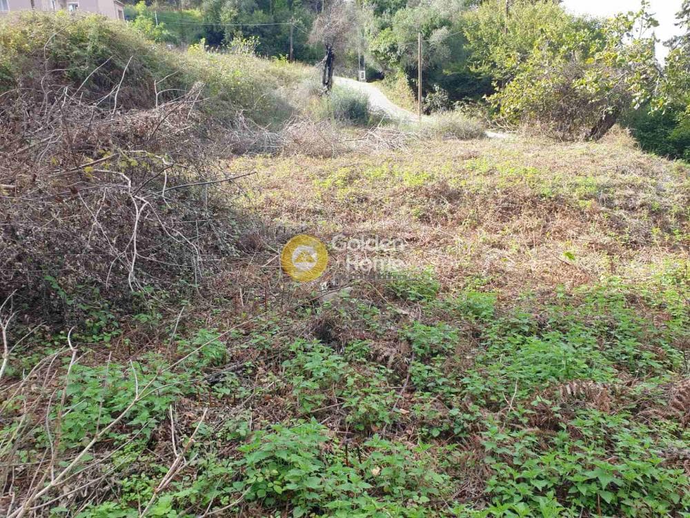 Parcel in Pareli, Corfu — Photo 3 of 4