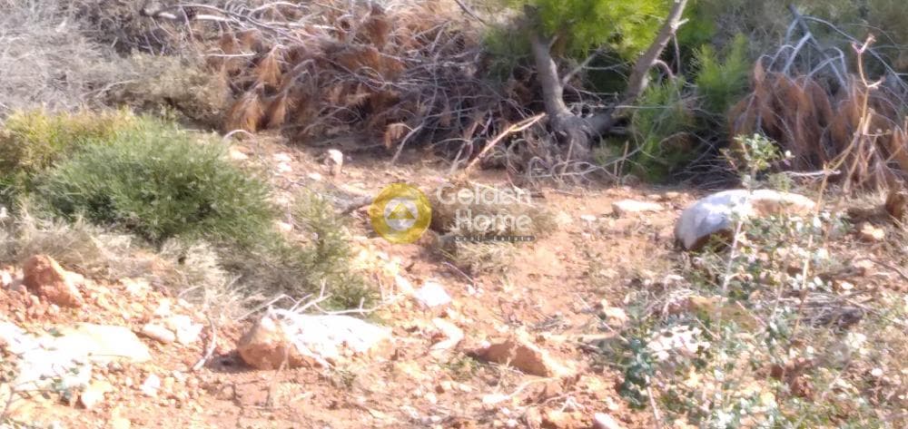 Οικόπεδο στην Δασαμάρι, Πικέρμι — Φωτογραφία 7 από 11