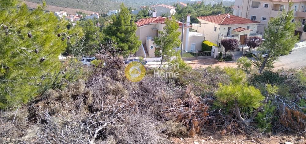 Οικόπεδο στην Δασαμάρι, Πικέρμι — Φωτογραφία 3 από 11