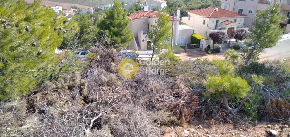 Οικόπεδο στην Δασαμάρι, Πικέρμι — Φωτογραφία 4 από 11
