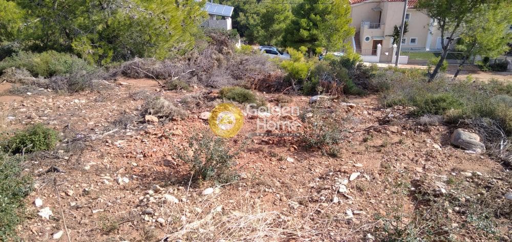 Οικόπεδο στην Δασαμάρι, Πικέρμι — Φωτογραφία 6 από 11