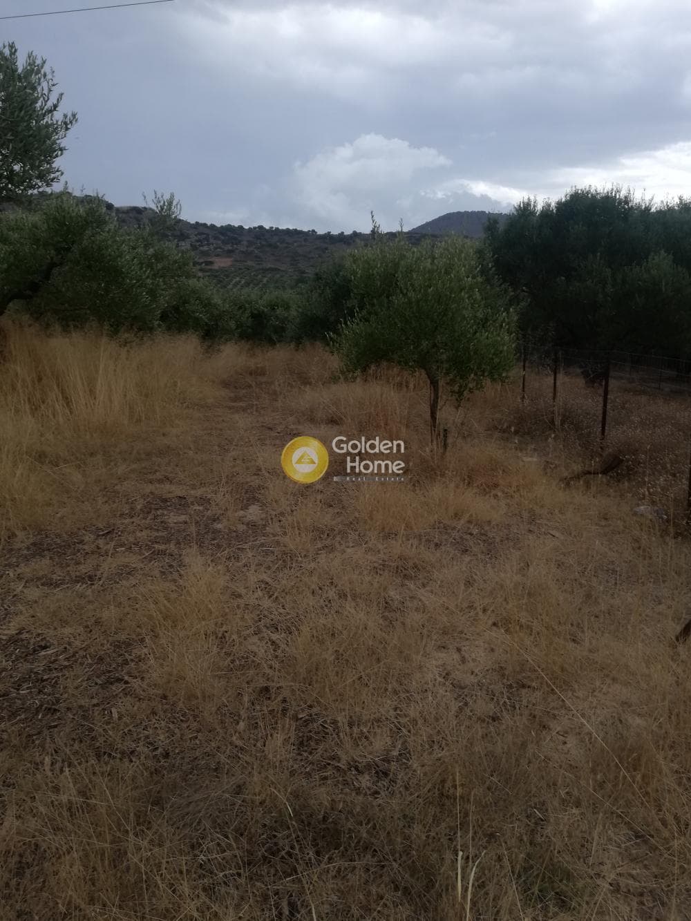Αγροτεμάχιο στην Κέντρο, Γούβες — Φωτογραφία 1 από 10