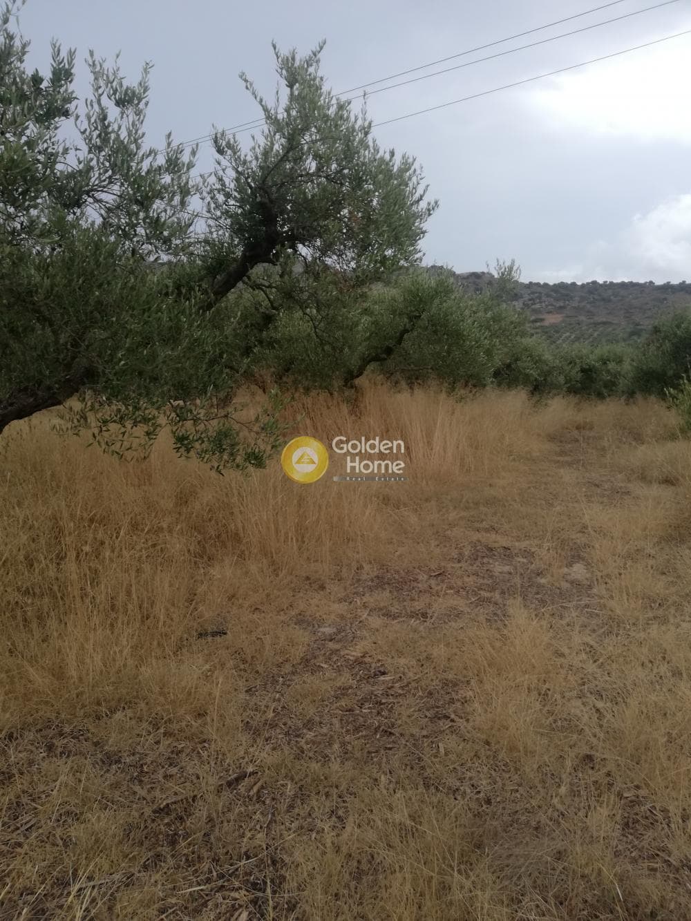 Αγροτεμάχιο στην Κέντρο, Γούβες — Φωτογραφία 2 από 10