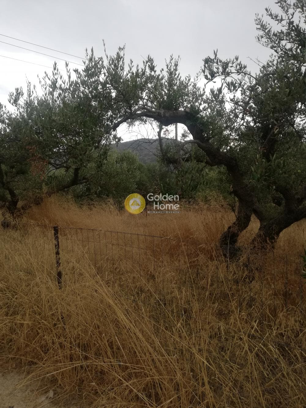 Αγροτεμάχιο στην Κέντρο, Γούβες — Φωτογραφία 4 από 10