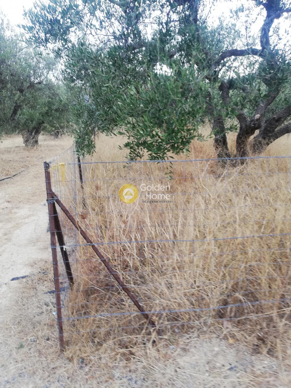Αγροτεμάχιο στην Κέντρο, Γούβες — Φωτογραφία 6 από 10