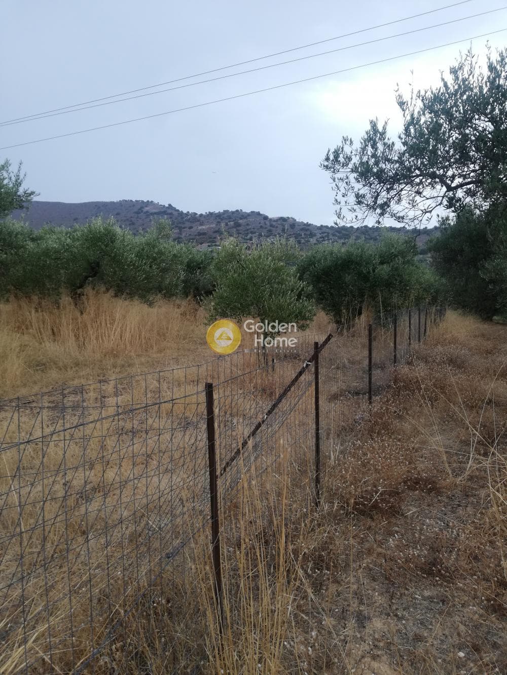 Αγροτεμάχιο στην Κέντρο, Γούβες — Φωτογραφία 7 από 10