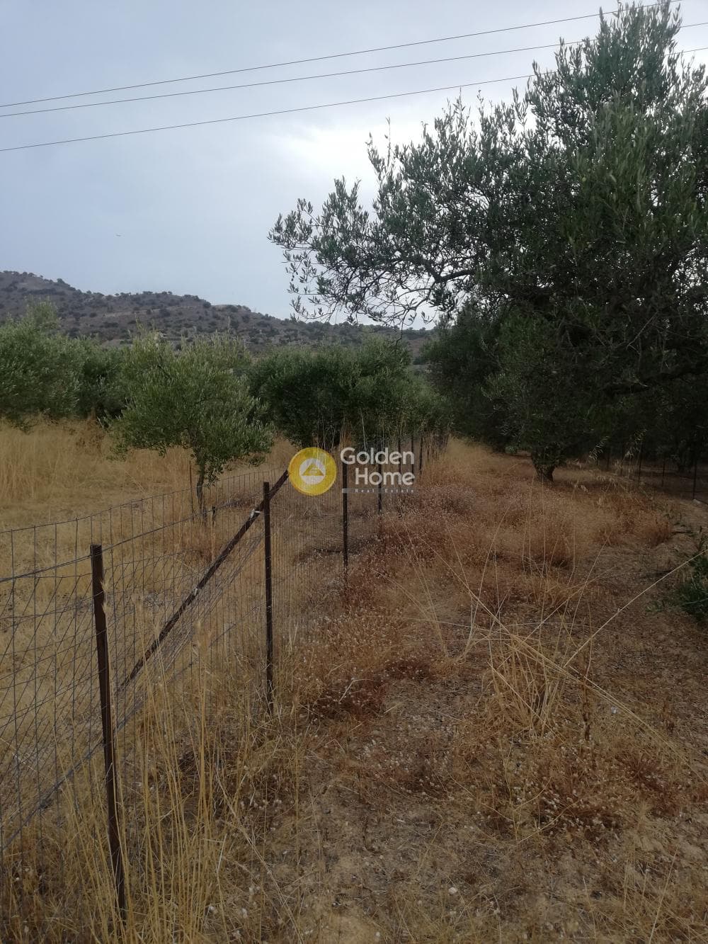 Αγροτεμάχιο στην Κέντρο, Γούβες — Φωτογραφία 8 από 10