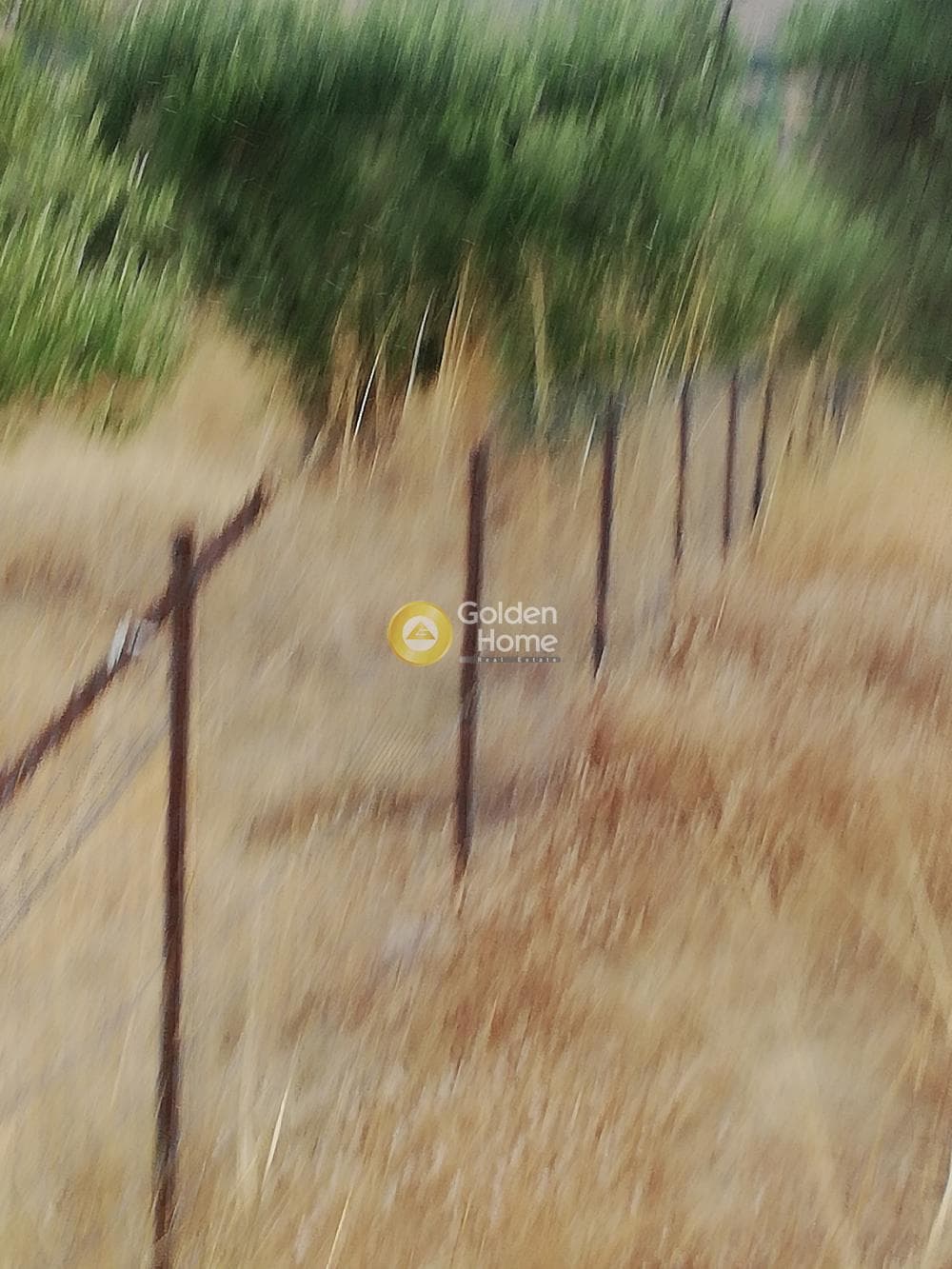 Αγροτεμάχιο στην Κέντρο, Γούβες — Φωτογραφία 9 από 10