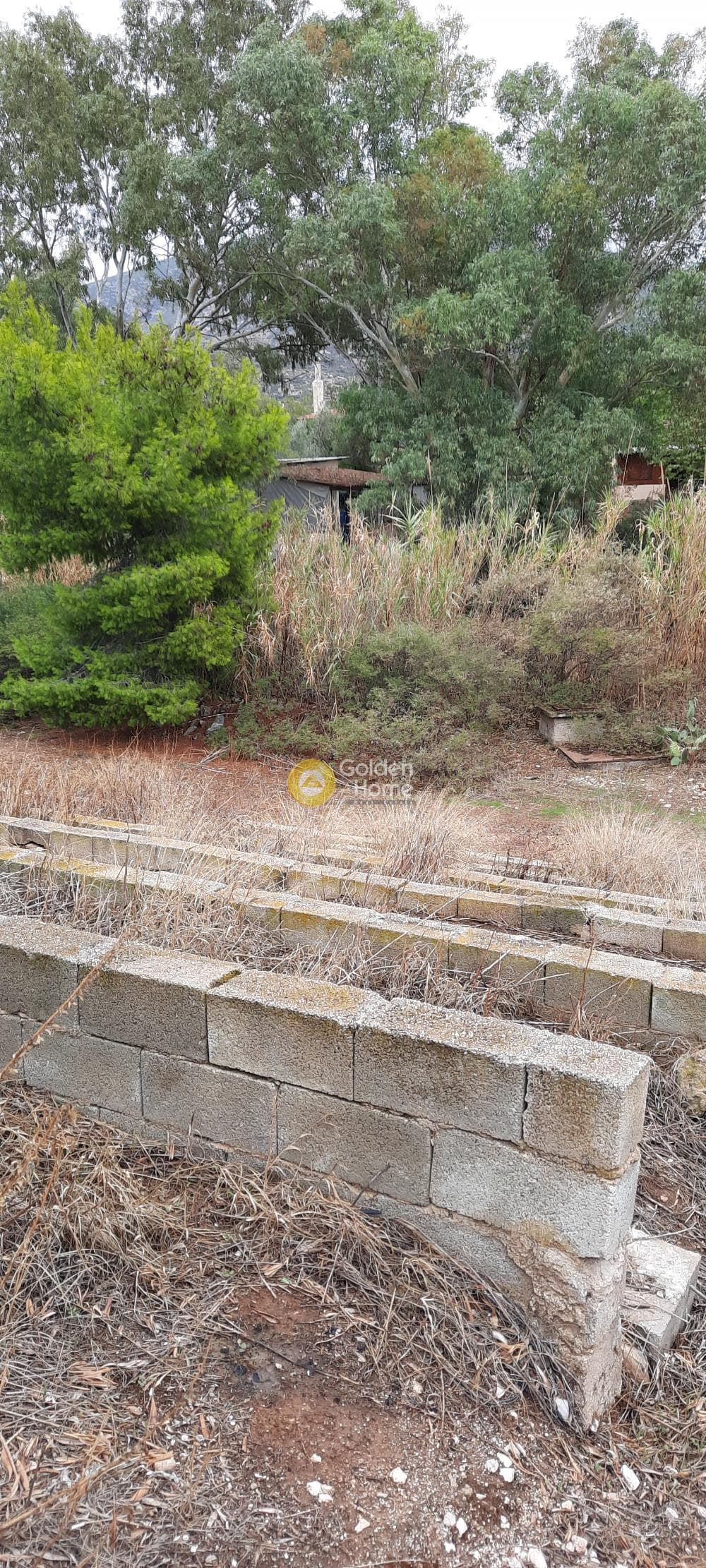 House in Galazia akti, Kalivia Thorikou — Photo 4 of 10