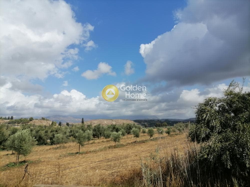 Αγροτεμάχιο στην Καμηλάρι, Τυμπάκι — Φωτογραφία 2 από 12