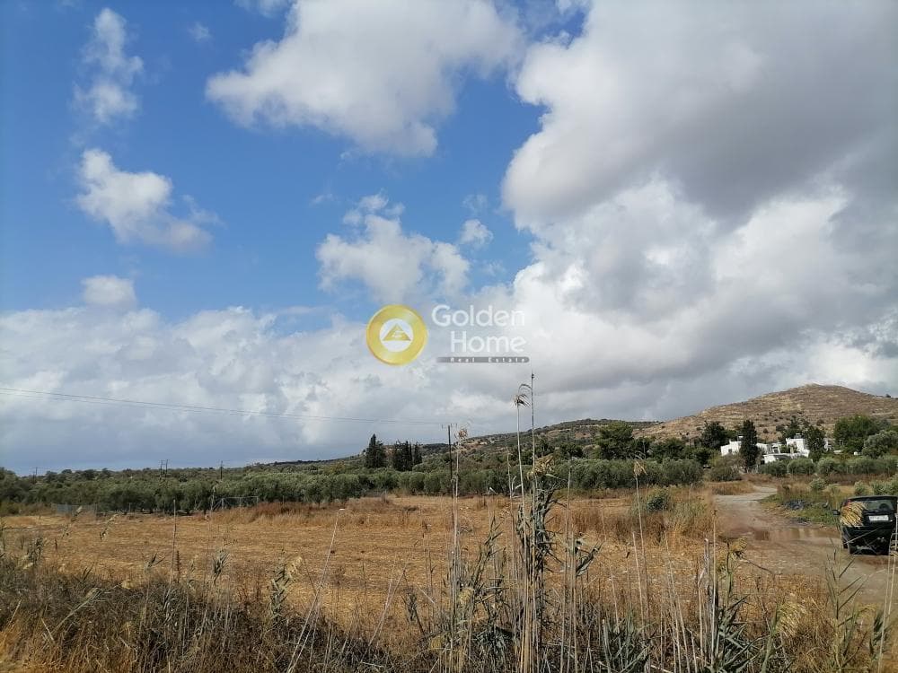Αγροτεμάχιο στην Καμηλάρι, Τυμπάκι — Φωτογραφία 3 από 12
