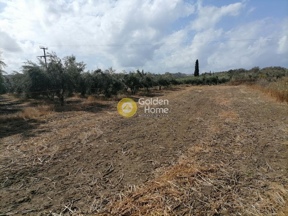 Αγροτεμάχιο στην Καμηλάρι, Τυμπάκι — Φωτογραφία 4 από 12