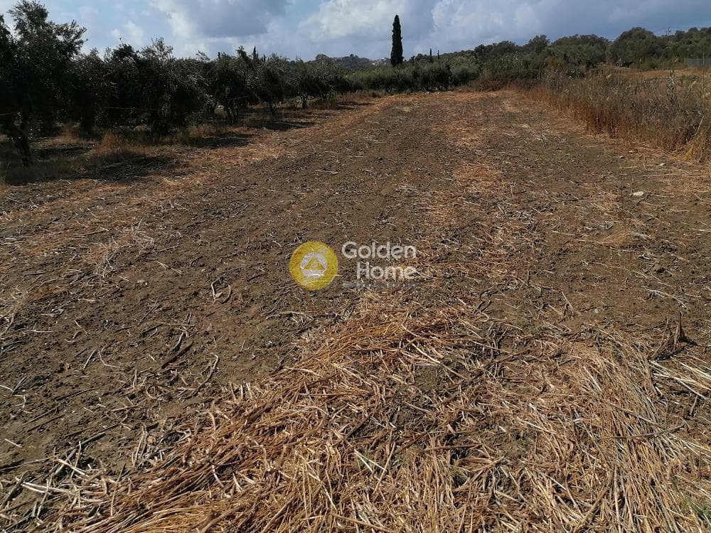 Αγροτεμάχιο στην Καμηλάρι, Τυμπάκι — Φωτογραφία 6 από 12