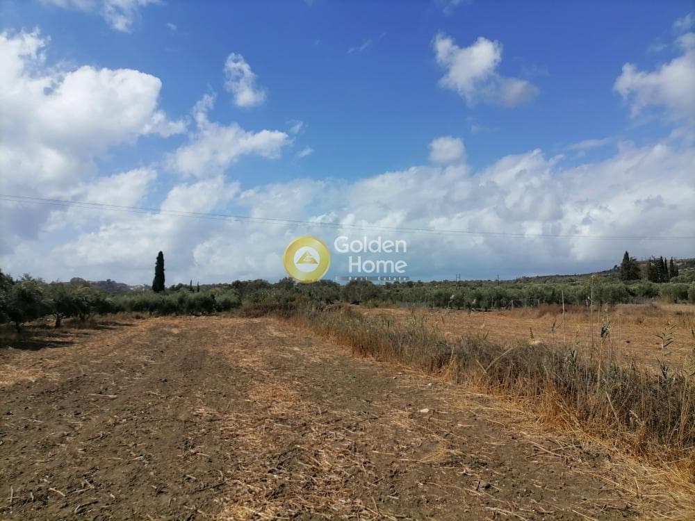 Αγροτεμάχιο στην Καμηλάρι, Τυμπάκι — Φωτογραφία 7 από 12