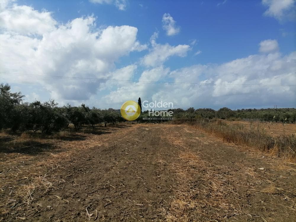 Αγροτεμάχιο στην Καμηλάρι, Τυμπάκι — Φωτογραφία 10 από 12