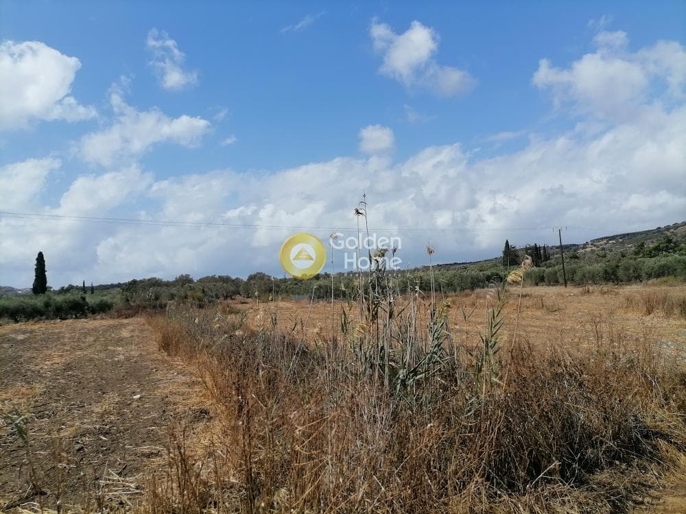 Αγροτεμάχιο στην Καμηλάρι, Τυμπάκι — Φωτογραφία 12 από 12