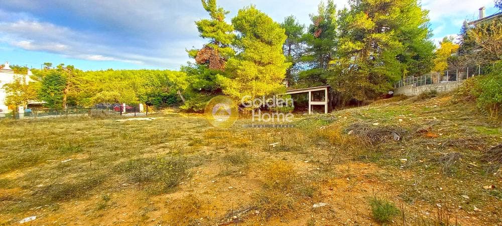 Building Plot in Lofos Antheon, Stamata — Photo 4 of 10