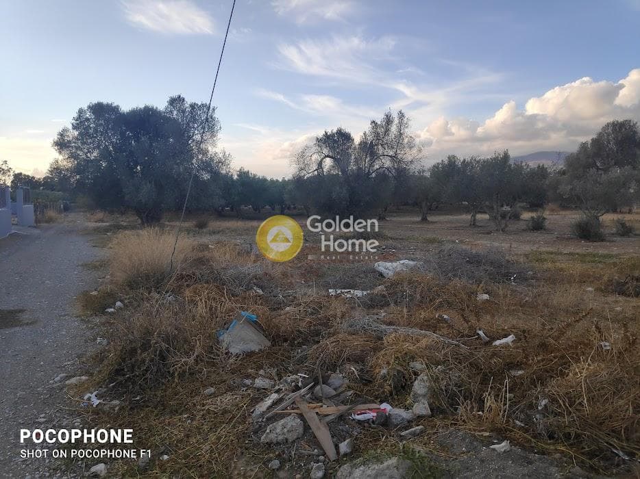 Parcel in Kappariana, Moires — Photo 1 of 13