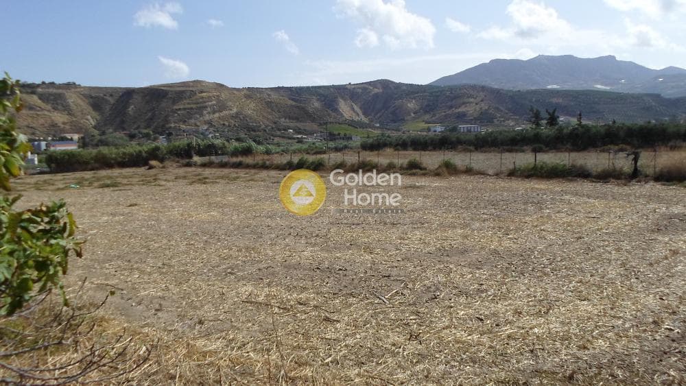Οικόπεδο στην Κουνάβοι, Αρχάνες — Φωτογραφία 6 από 41
