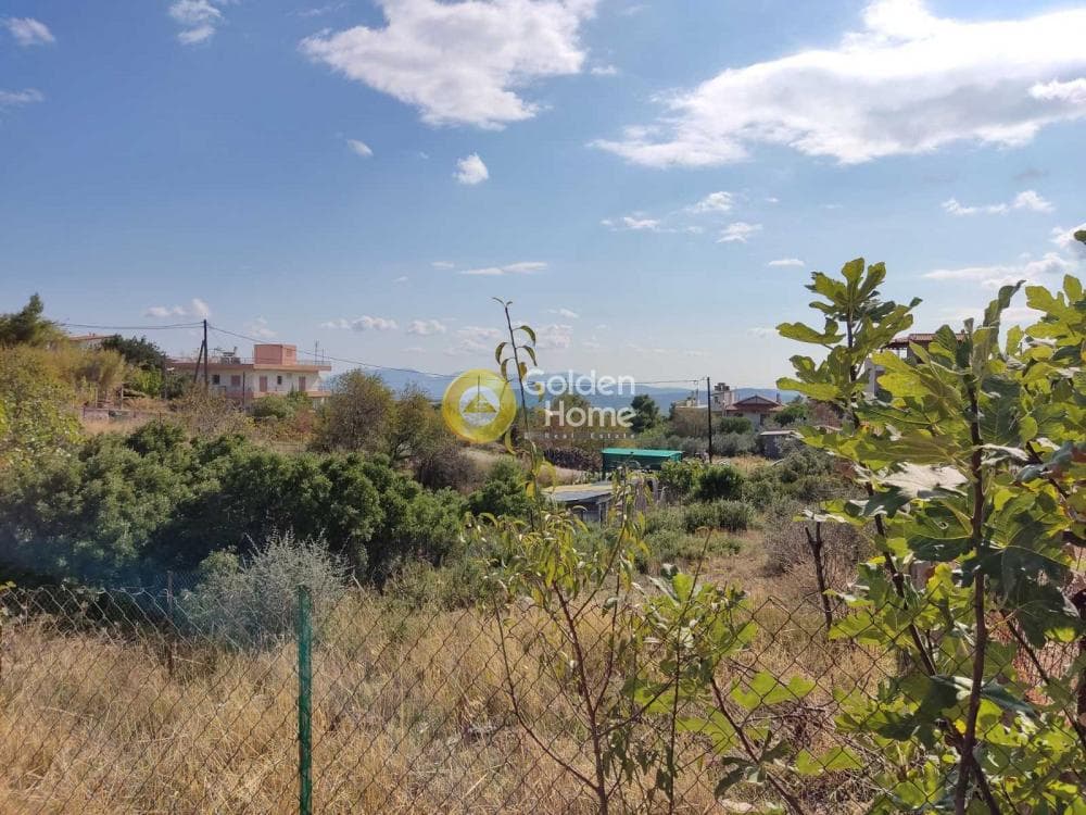 Οικόπεδο στην Ανθούσα, Ανθούσα — Φωτογραφία 2 από 3