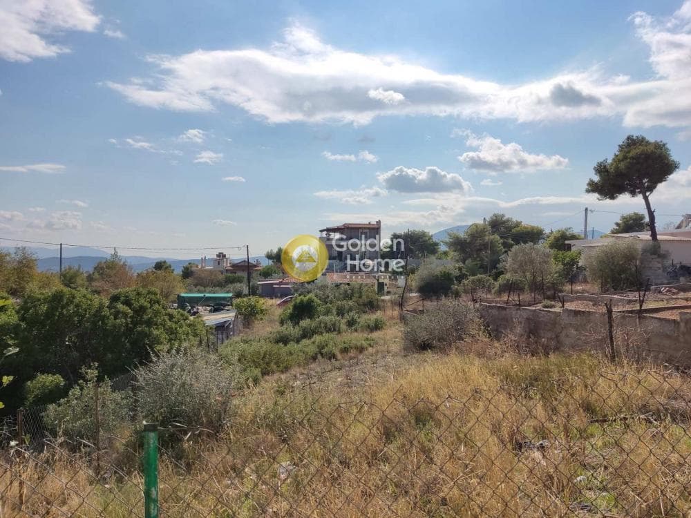 Οικόπεδο στην Ανθούσα, Ανθούσα — Φωτογραφία 3 από 3